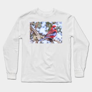 Crimson Rosella 03 Long Sleeve T-Shirt